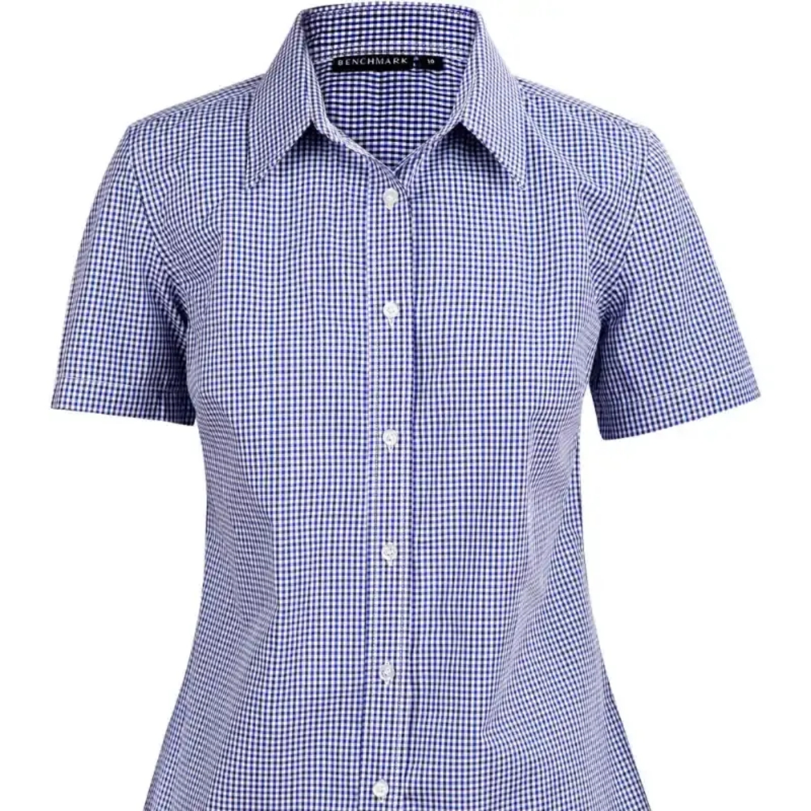 Picture of Winning Spirit, Ladies Gingham S/S Shirt